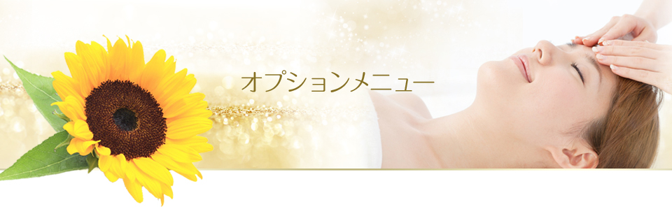 オプションメニュー